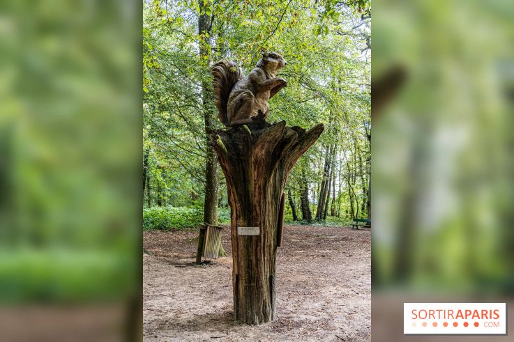 Le village de Janvry en Haute Vallée de Chevreuse  -  A7C0049