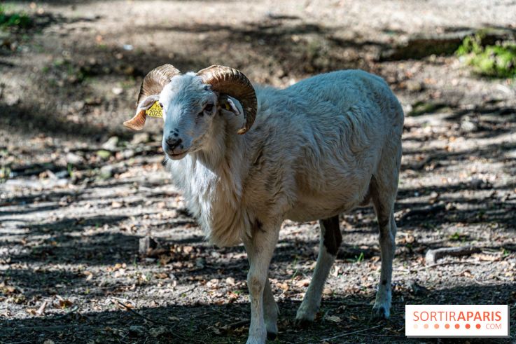 Le village de Janvry en Haute Vallée de Chevreuse  -  A7C0060