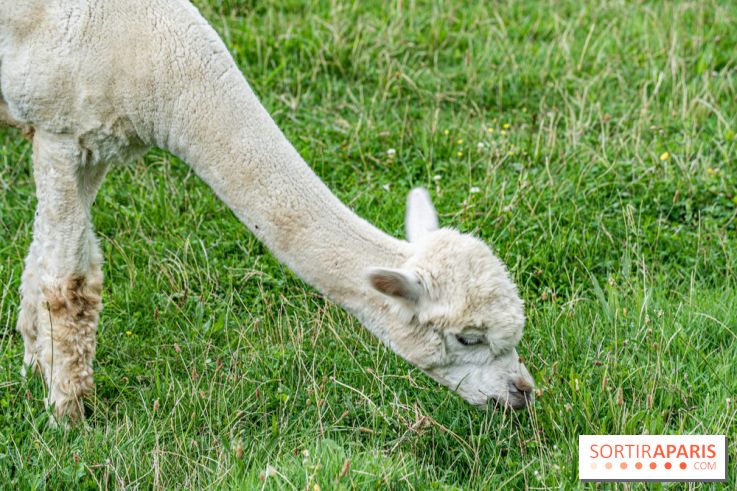 Le village de Janvry en Haute Vallée de Chevreuse  -  A7C9966