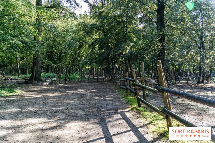 Le village de Janvry en Haute Vallée de Chevreuse  -  A7C0062