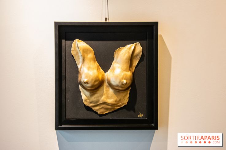 Exposition Organessence Ono galerie La Lison