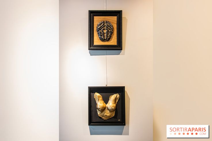 Exposition Organessence Ono galerie La Lison