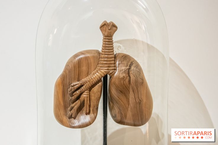 Exposition Organessence Ono galerie La Lison