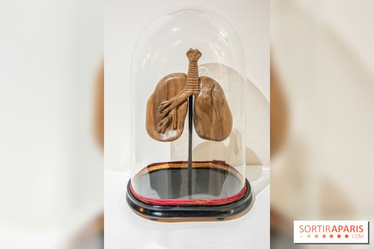 Exposition Organessence Ono galerie La Lison