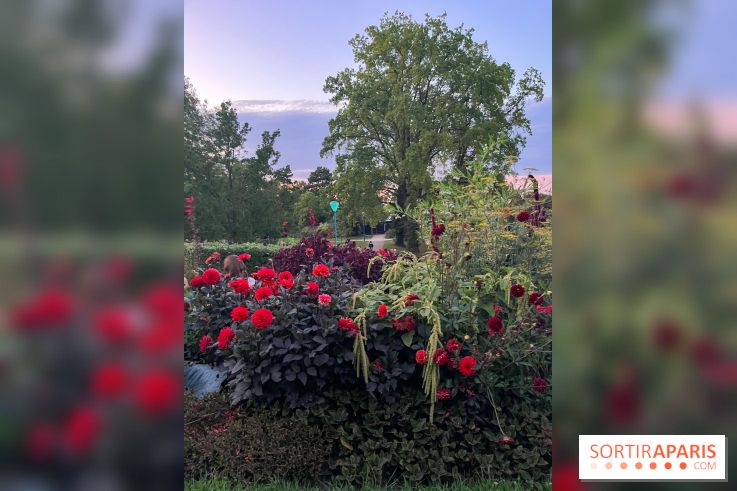 Festival Silhouette au parc de la Butte du Chapeau Rouge - image00007
