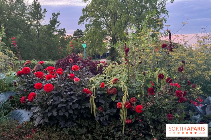 Festival Silhouette au parc de la Butte du Chapeau Rouge - image00008