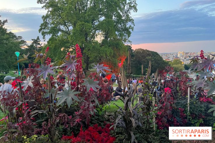 Festival Silhouette au parc de la Butte du Chapeau Rouge - image00005