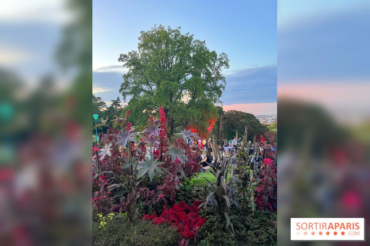 Festival Silhouette au parc de la Butte du Chapeau Rouge - image00006