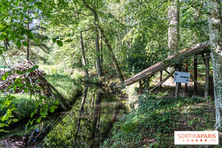 Folies lavoirs, les lavoirs des Yvelines et de la Vallée de Chevreuse accueillent l'art contemporain
