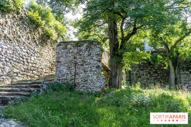 Village de Rochefort en Yvelines -  A7C0262