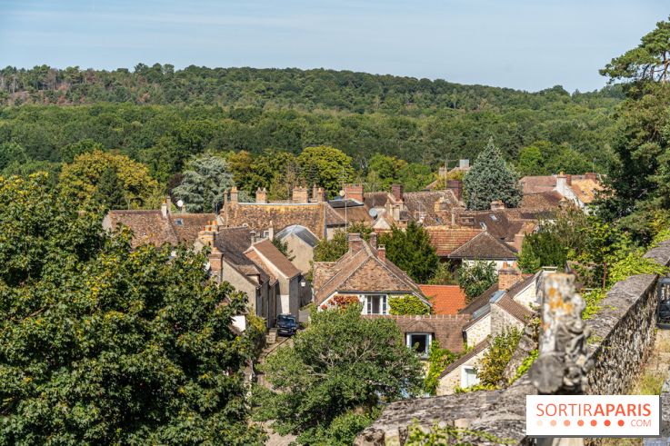 Village de Rochefort en Yvelines -  A7C0270