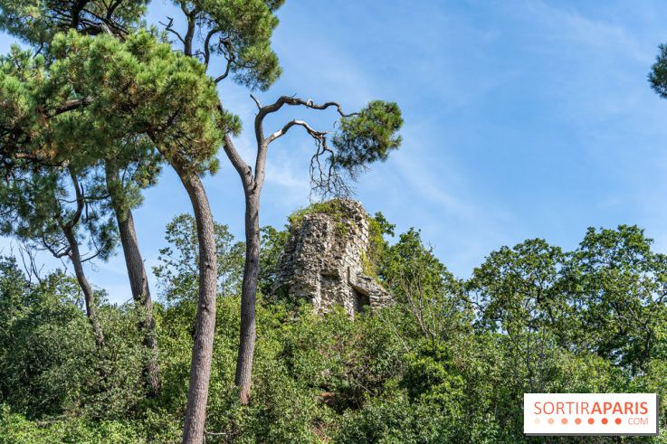 Village de Rochefort en Yvelines -  A7C0275