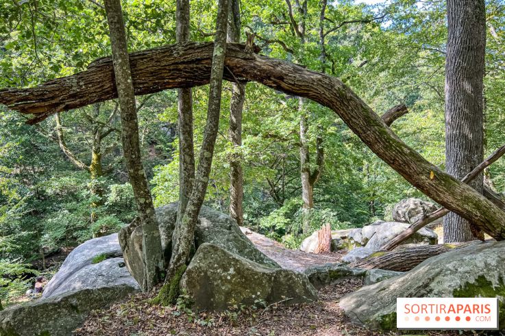 Les Vaux de Cernay en Vallée de Chevreuse - Cernay-la-Ville