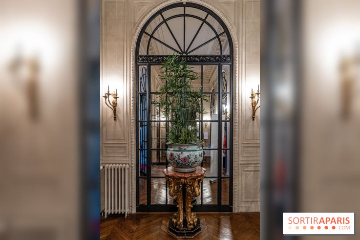 La Fondation Simone et Cino Del Duca - Hôtel Emile Pereire -  A7C0616