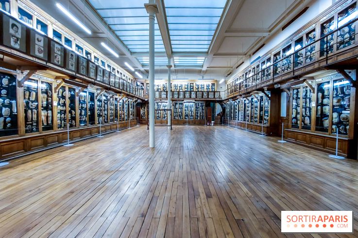 Musée des Moulages à Paris, nos photos - 20230905 121312