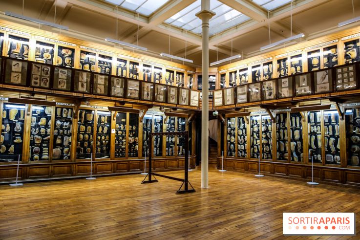 Musée des Moulages à Paris, nos photos