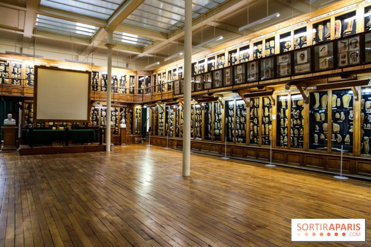 Musée des Moulages à Paris, nos photos