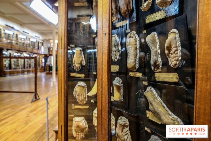 Musée des Moulages à Paris, nos photos