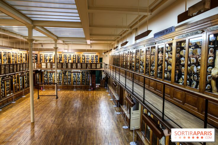 Musée des Moulages à Paris, nos photos