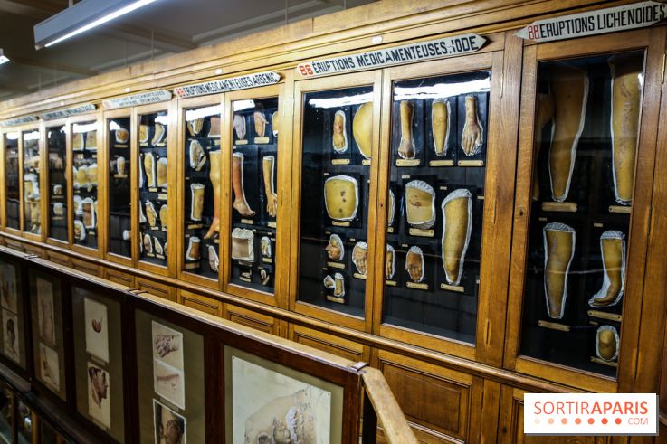 Musée des Moulages à Paris, nos photos