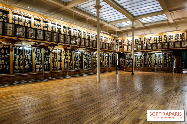 Musée des Moulages à Paris, nos photos