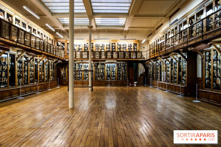 Musée des Moulages à Paris, nos photos
