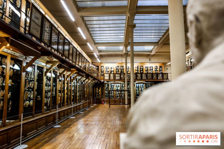 Musée des Moulages à Paris, nos photos - IMG 0845