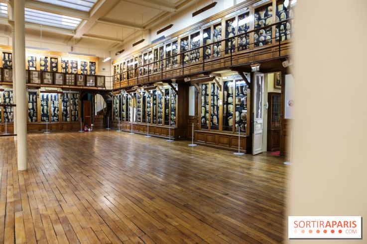 Musée des Moulages à Paris, nos photos