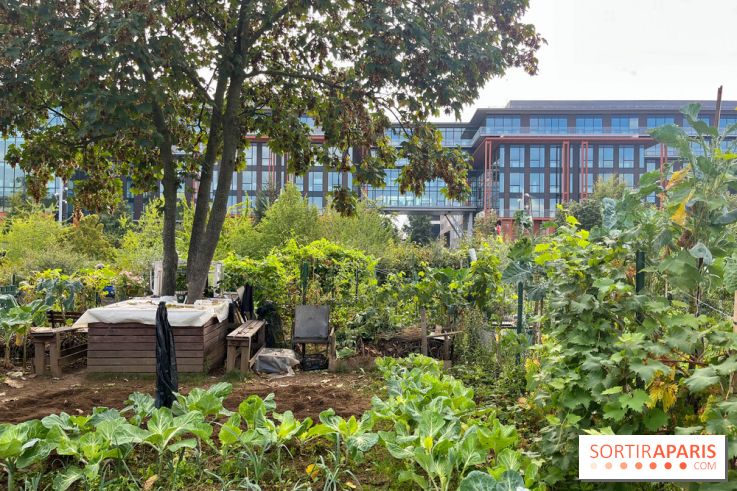 Le Grand Parc des Docks, à Saint-Ouen - image00222