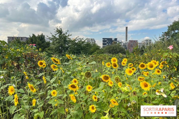 Le Grand Parc des Docks, à Saint-Ouen - image00219