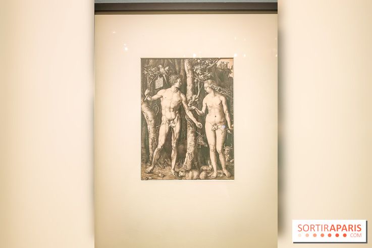 Trésors en noir et blanc, l'exposition des grands maîtres de l'estampe au Petit Palais - nos photos