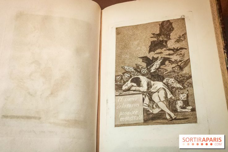 Trésors en noir et blanc, l'exposition des grands maîtres de l'estampe au Petit Palais - nos photos