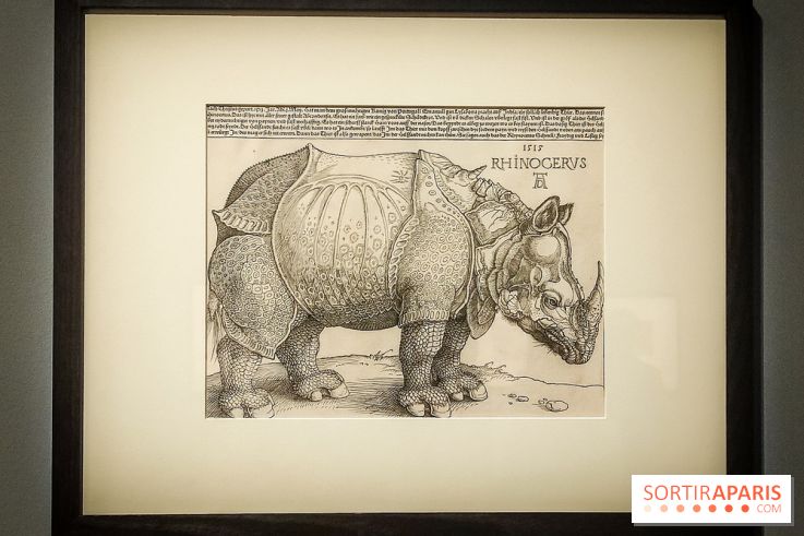 Trésors en noir et blanc, l'exposition des grands maîtres de l'estampe au Petit Palais - nos photos