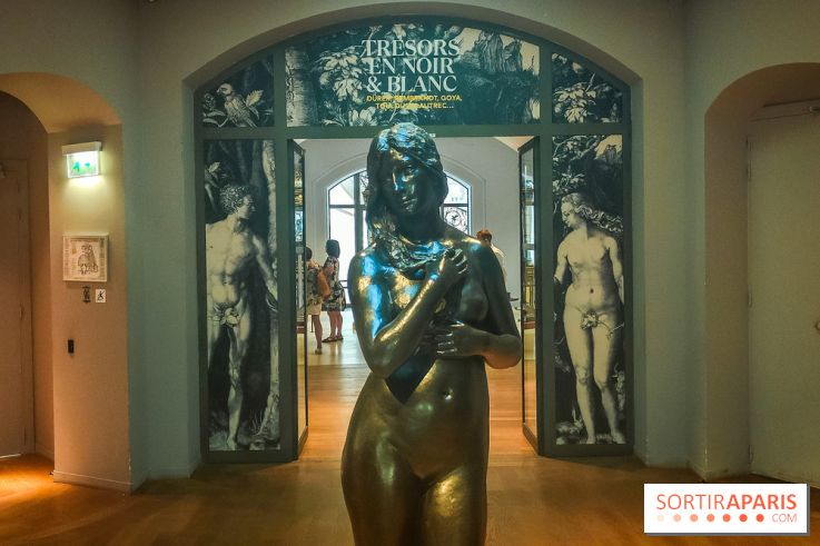 Trésors en noir et blanc, l'exposition des grands maîtres de l'estampe au Petit Palais - nos photos