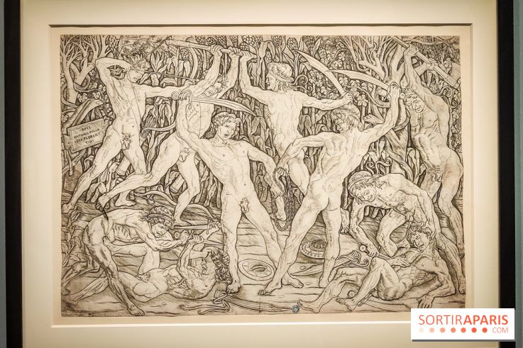 Trésors en noir et blanc, l'exposition des grands maîtres de l'estampe au Petit Palais - nos photos