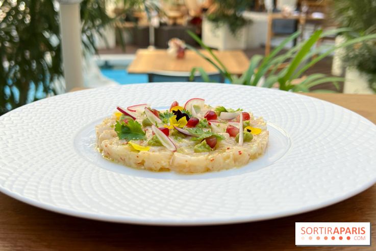 Westin Paris Vendôme - Ceviche de daurade