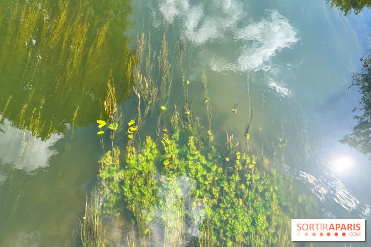 Motigny-sur-Loing - image00232