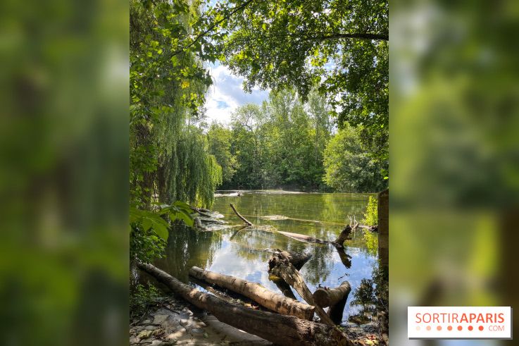 Motigny-sur-Loing - image00225