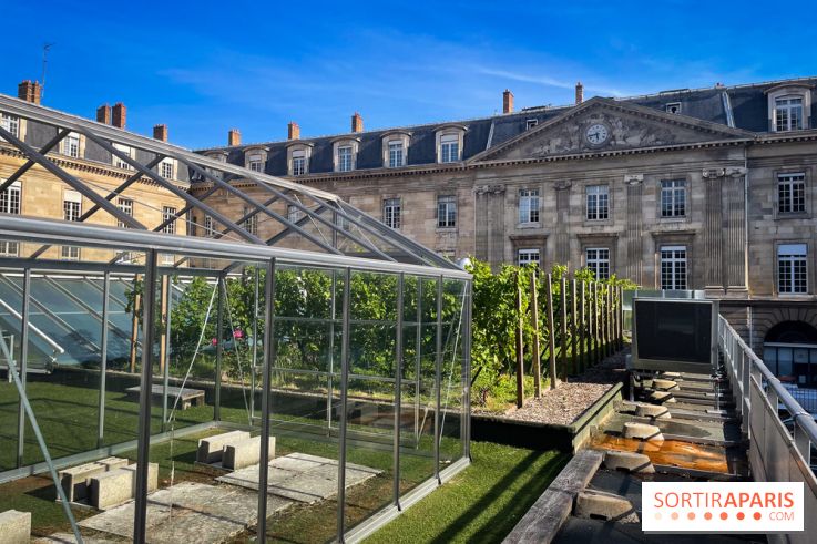 Vignoble Hôtel de Ville