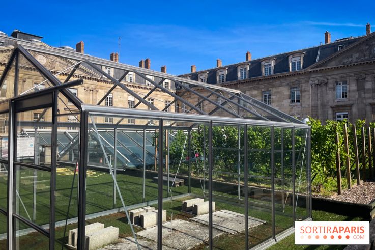 Vignoble Hôtel de Ville