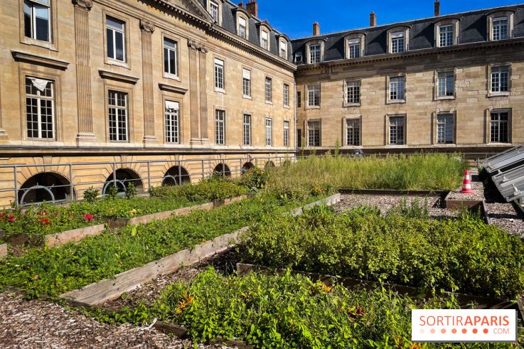 Vignoble Hôtel de Ville