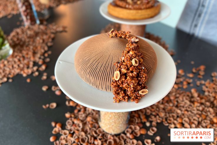 La Halle aux Grains - Bûche sarrasin noisette 2023