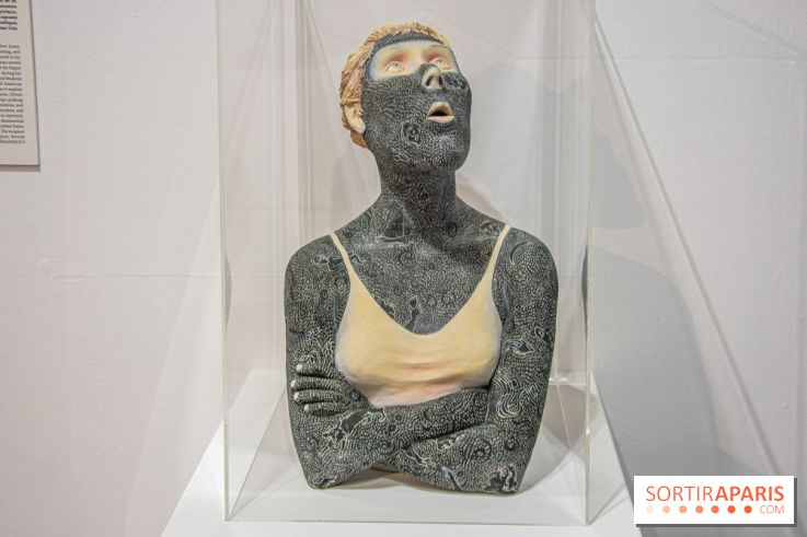 Exposition HEY! CERAMIQUE.S à la Halle Saint-Pierre