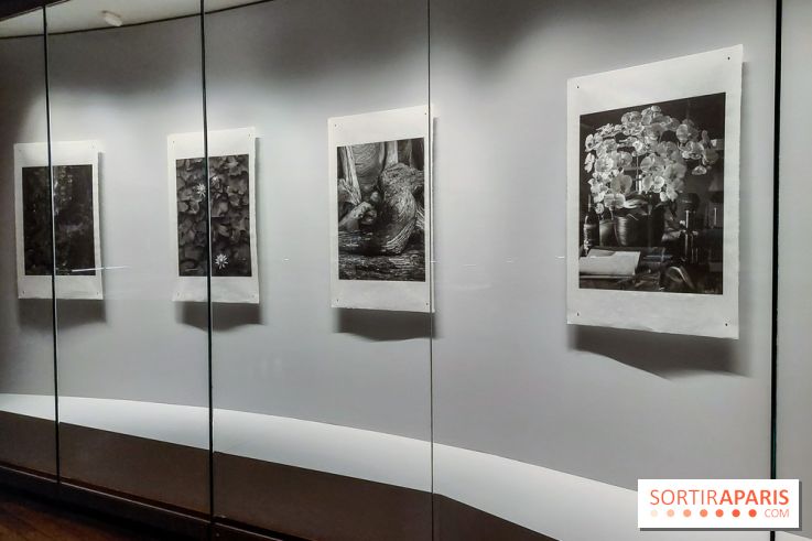 Portrait éphémère du Japon, nos photos de l'expo - 20230919 105652