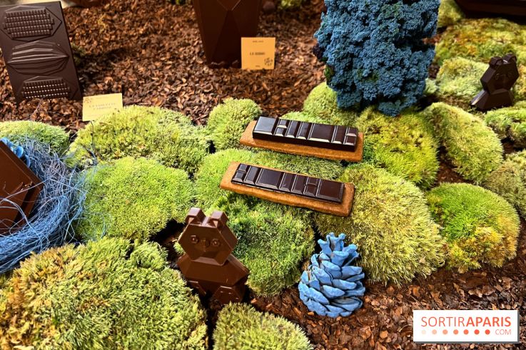 Alain Ducasse - Chocolats de Noël 2023 - 1C8D269F A4D5 4E19 A548 B3633784C155