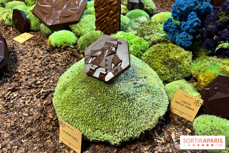 Alain Ducasse - Chocolats de Noël 2023 - 8BD9A8A5 B759 40A3 AD54 BDB4085896B4