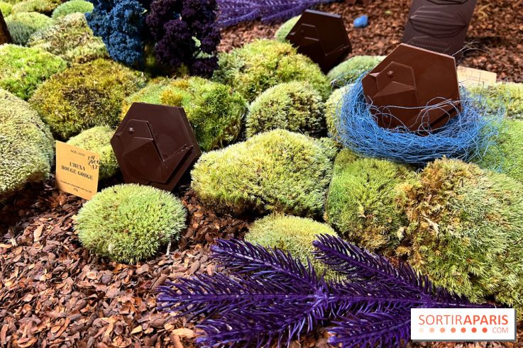 Alain Ducasse - Chocolats de Noël 2023 - 16C69F91 3DF8 4C50 91C9 D060A4D0ECC6