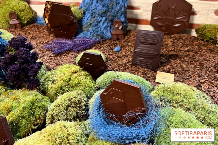 Alain Ducasse - Chocolats de Noël 2023 - 973A5822 D4BE 4CC9 84F6 572CA753A144