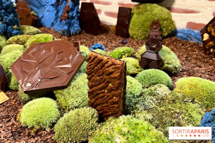 Alain Ducasse - Chocolats de Noël 2023 - 44583032 3128 43E4 9D47 518EE78B54B2