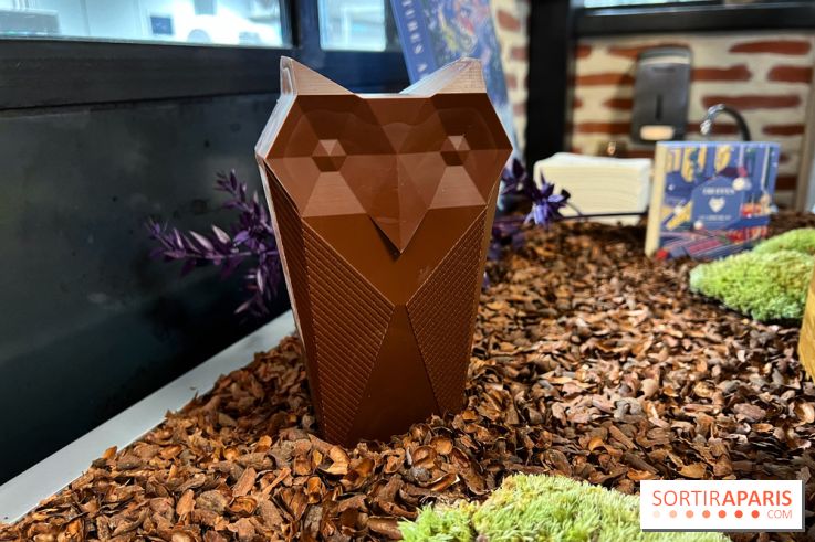 Alain Ducasse - Chocolats de Noël 2023 - B673CA26 D8C2 45DE 844B 277D232E7E7B